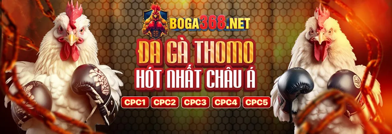 Hình ảnh Điều Khoản Dịch Vụ của VI84 Đăng Nhập